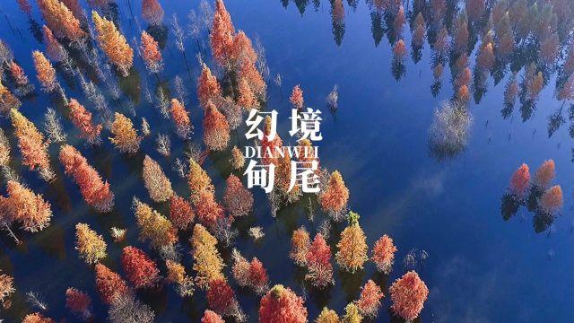 你相信星座吗？游戏画面