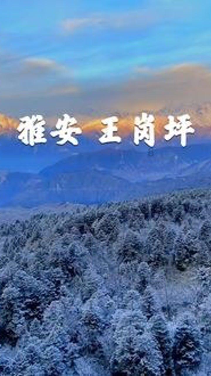 专家引领明方向 乘势而上开新篇