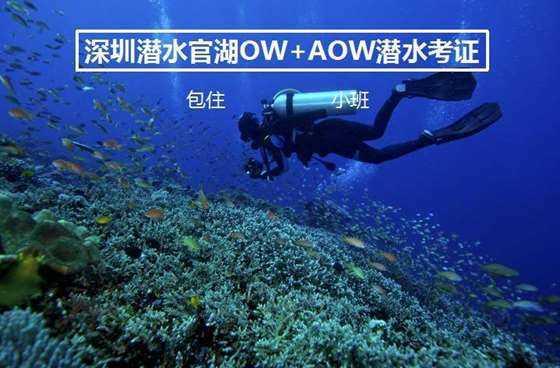 夏季纳凉小知识：以下哪个是扇子在古代的别称？游戏画面