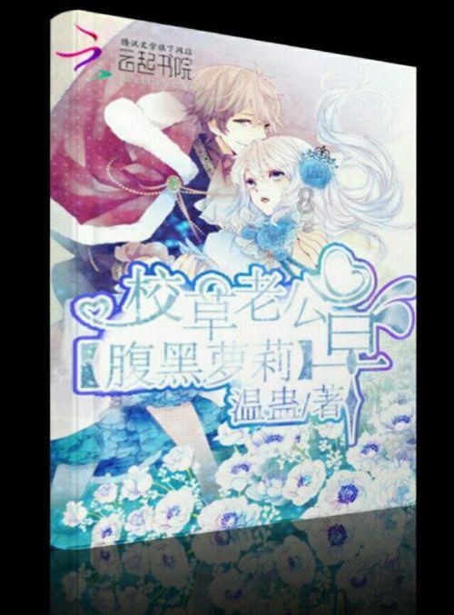 三国之志2