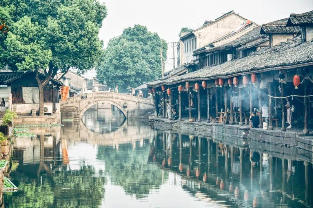 拯救落难小鸟